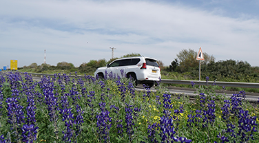 תמונה של שיקום נופי ומגוון ביולוגי