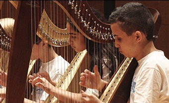 תמונה של סולמות