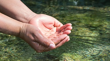 תמונה של צמצום ומניעת מפגעים סביבתיים