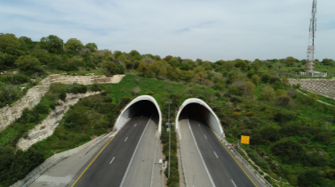 תמונה של מעבר בעלי חיים